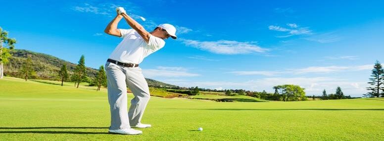 shutterstock_220225936_high_strip
